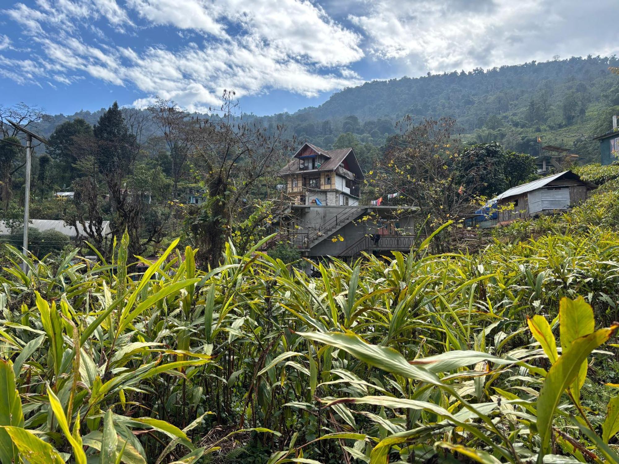 Appartamento Odyssey'S Darap Eco Retreat Pelling Esterno foto