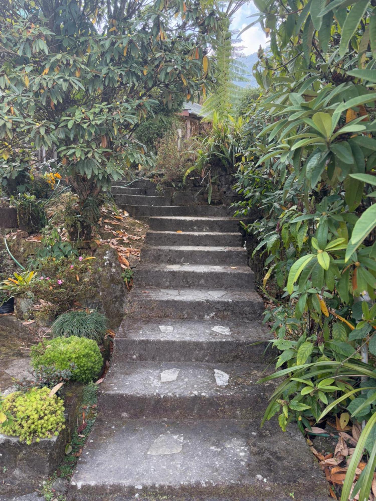 Appartamento Odyssey'S Darap Eco Retreat Pelling Esterno foto